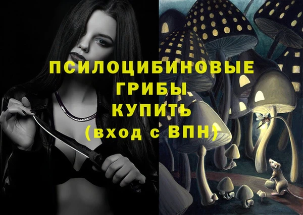 трава Куйбышев
