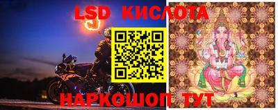 мяу мяу мука Бузулук