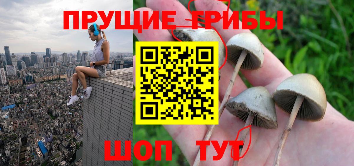 Галлюциногенные грибы Psilocybine cubensis  Вход с VPN  Псилоцибиновые грибы MAGIC MUSHROOMS  Мегион 